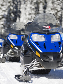 Blue snowmobiles parked organized. It is the winder season and there are trees with snow at the back.