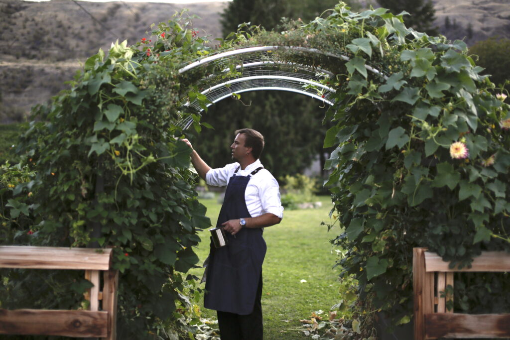 A chef in a black apron from Backyard Farm Chef's Table standing in an trellis with wines growing on it in a lush garden.