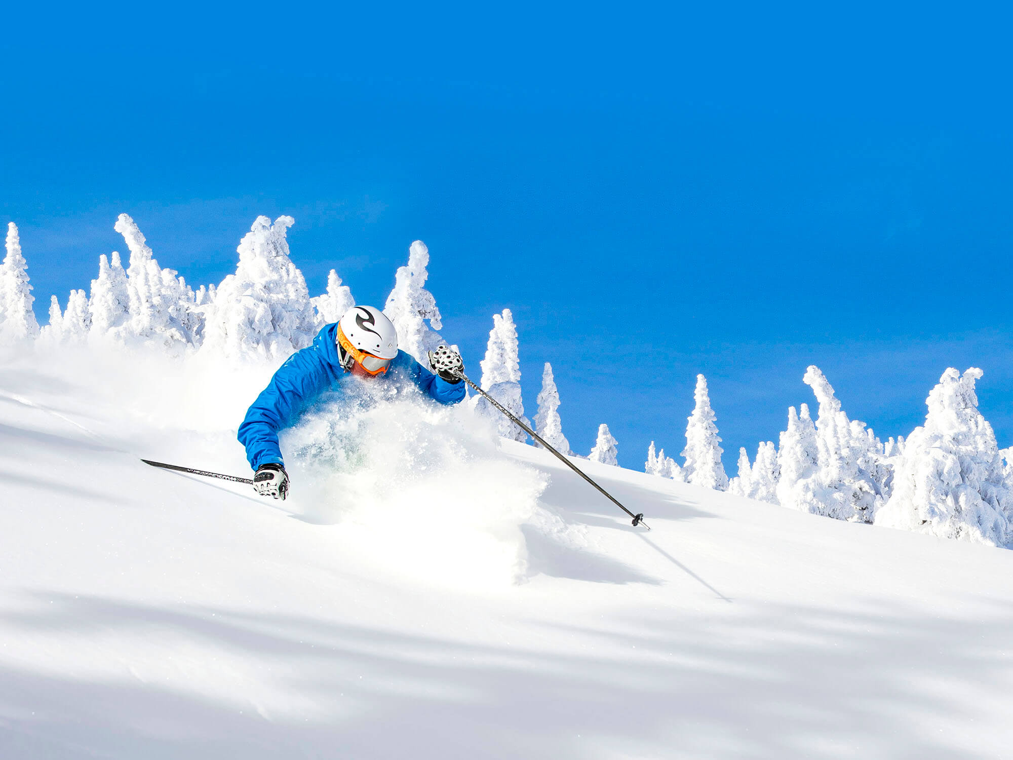 A skier in a blue jacket skis down a snowy slope with snow covered trees and blue skies in the background at Big White Ski Resort.