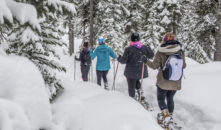 A group of four people are snowshoeing along a snowy trail.
