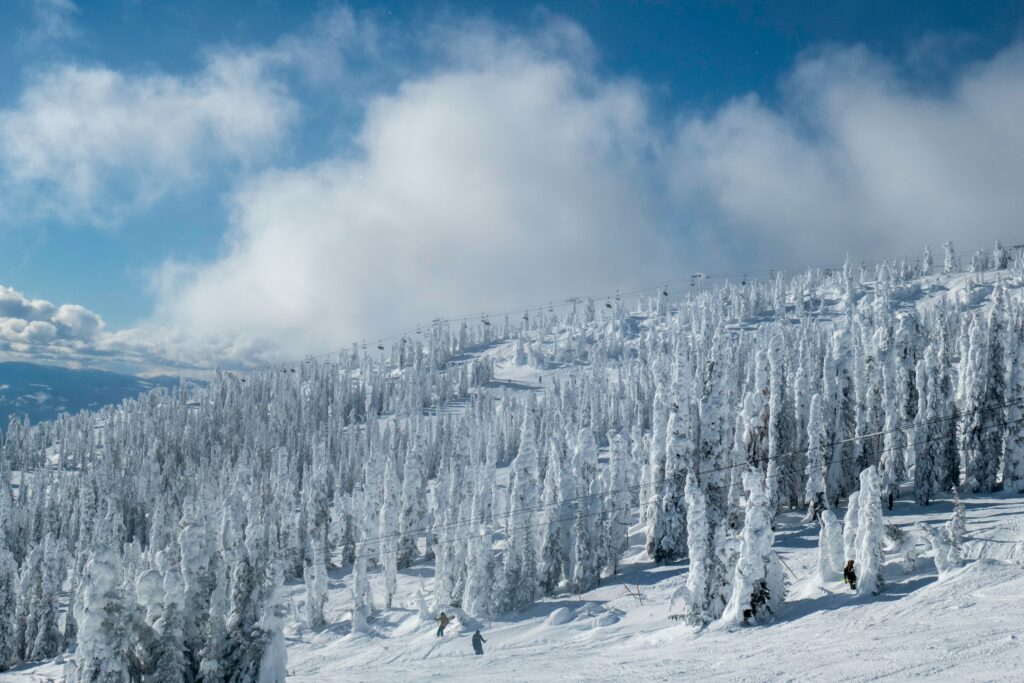 A snowy ski hill with snow covered pine trees on the edges with fluffy clouds and blue skies above, and skiiers skiing by at Big White Ski Resort.