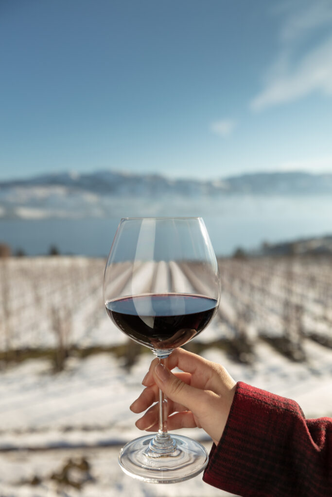 A woman's hand in a red jacket holds up a glass of red wine with snow covered vineyards in the background on a sunny day at Quails' Gate Winery.