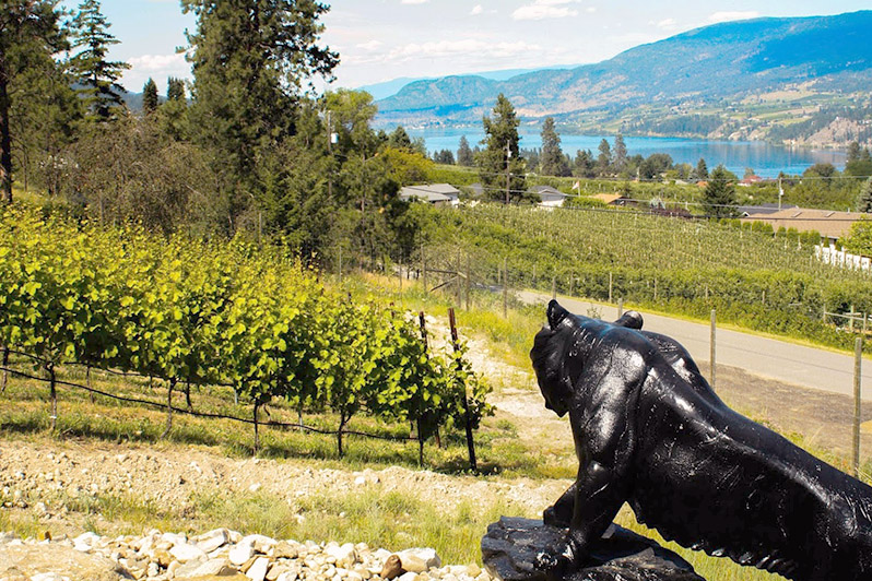 Blind Tiger Vineyards Kelowna, British Columbia, Canada